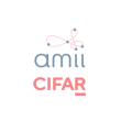 amil-cifar amil-cifar